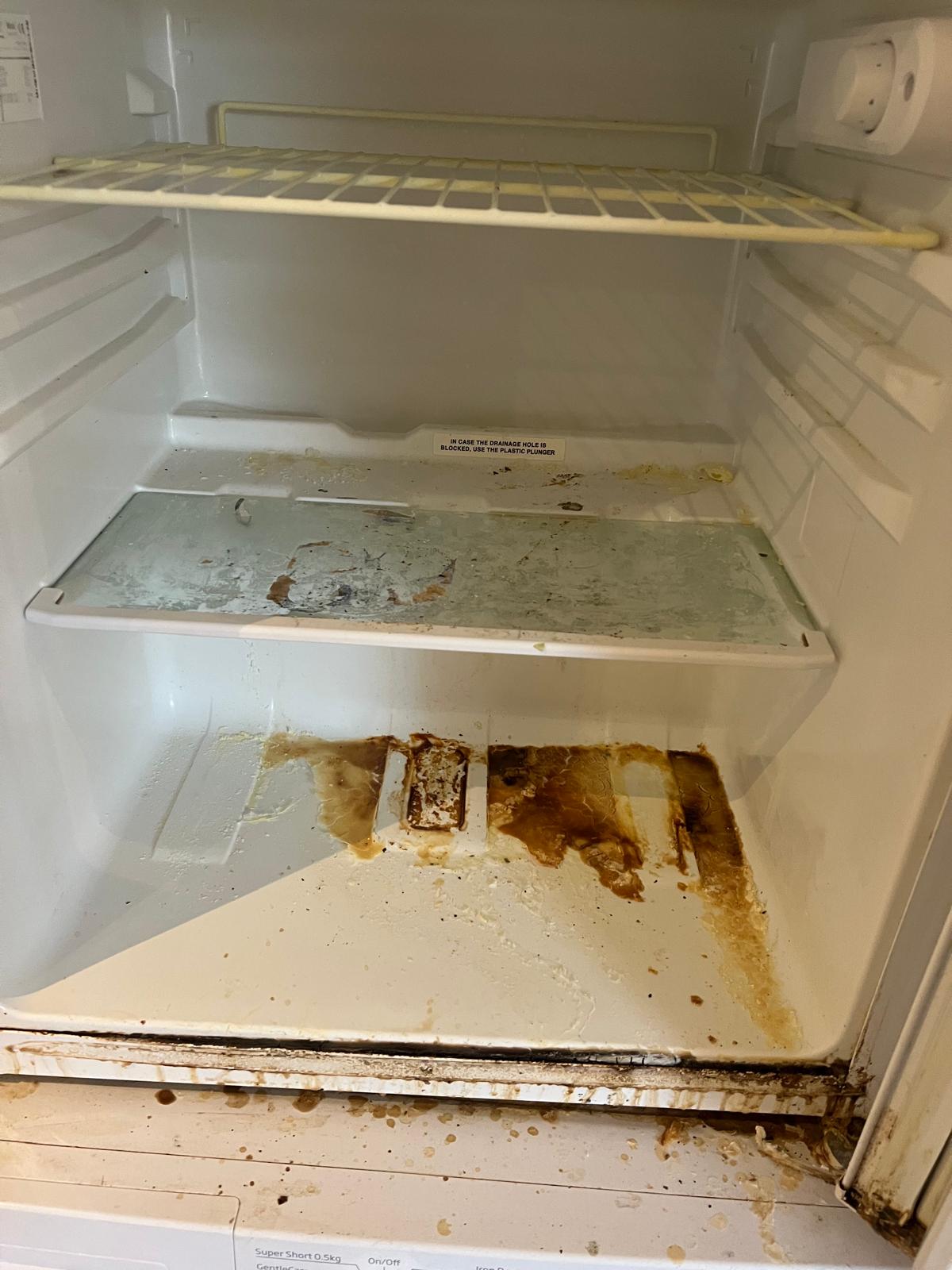 Eco-friendly cleaning products used by Serene Cleaning