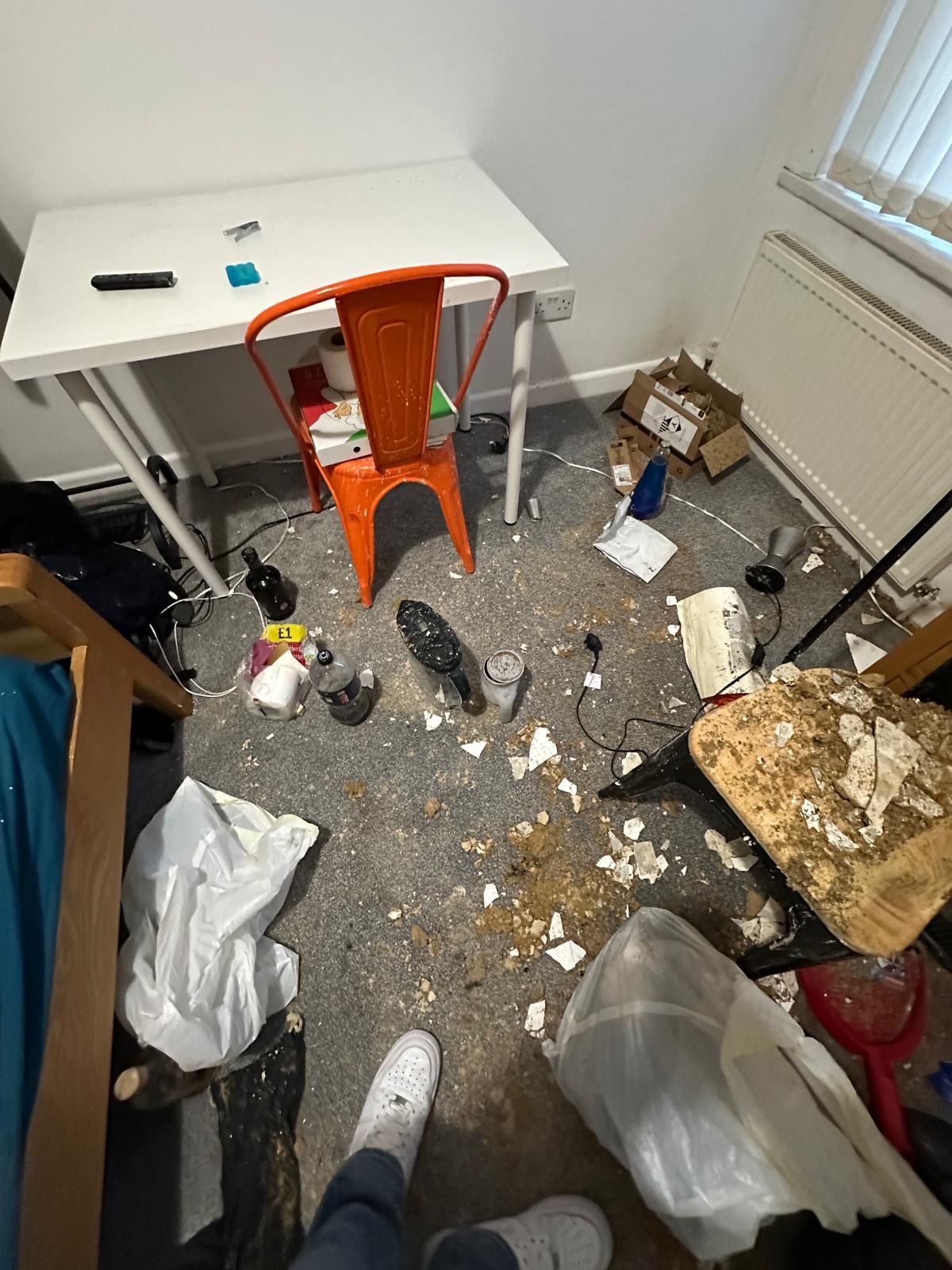 Bedroom vacuumed, dusted, and polished by Serene Clean before move-out